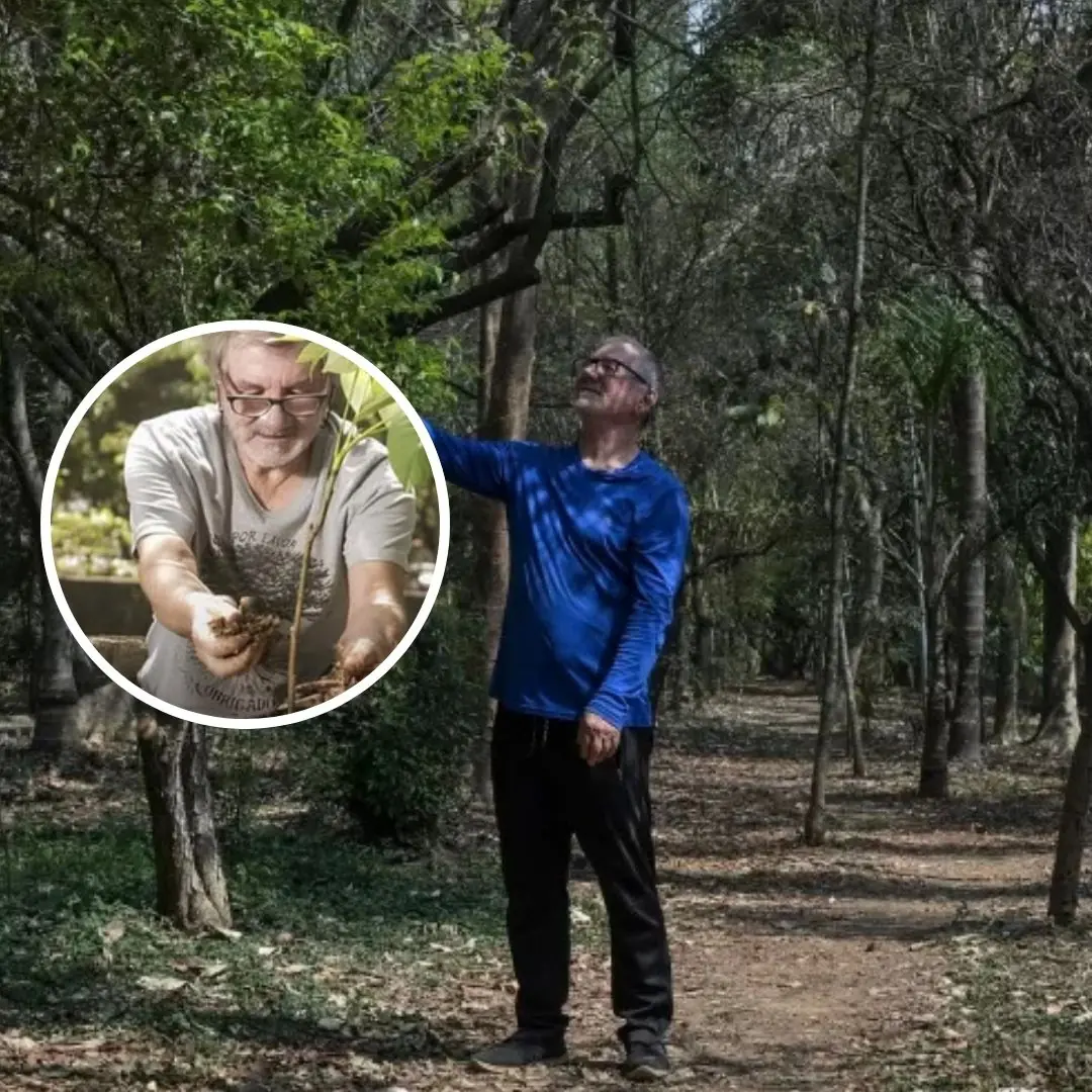 Aposentado planta mais de 40 mil árvores e transforma lixão no primeiro parque linear da cidade