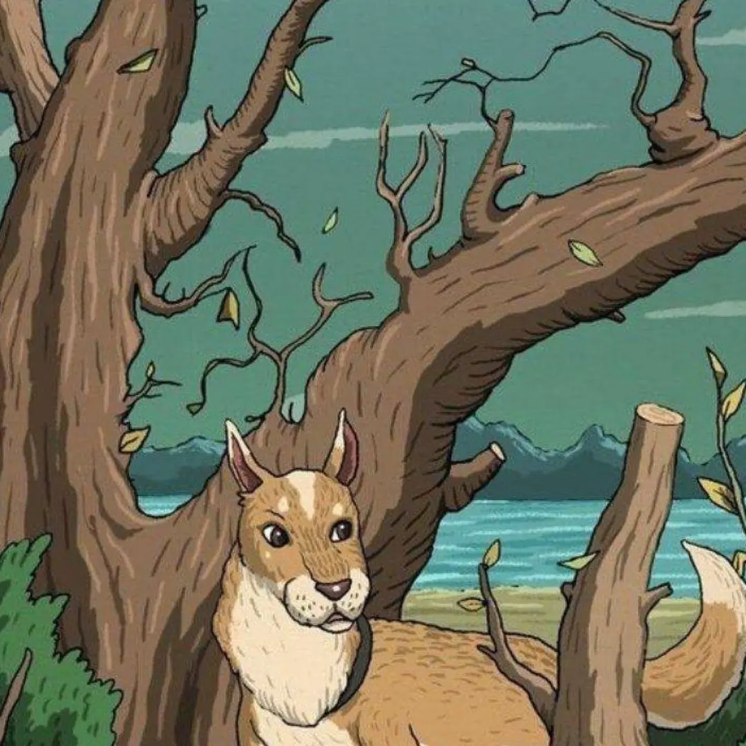 Onde o gato está escondido na foto?