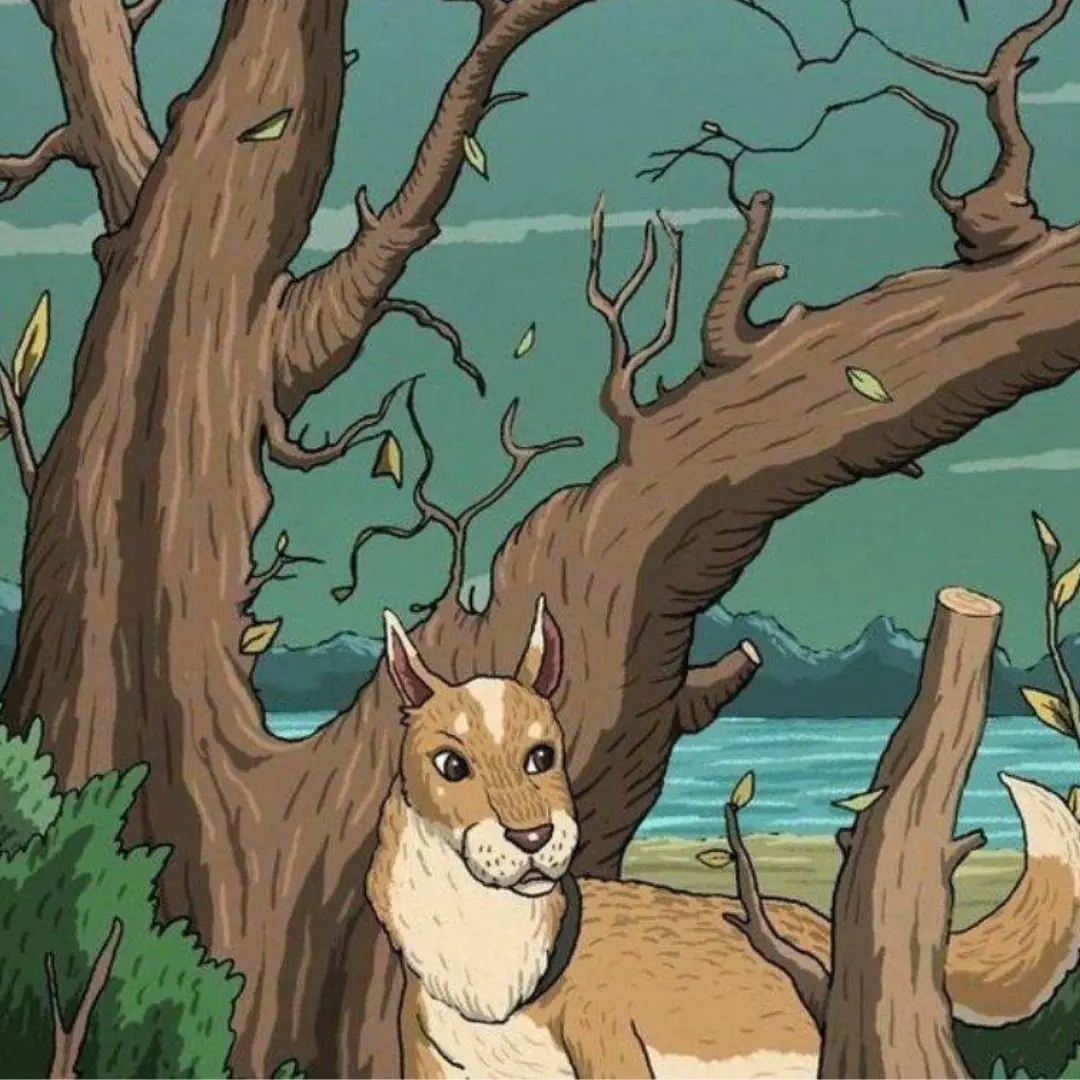 Onde o gato está escondido na foto?