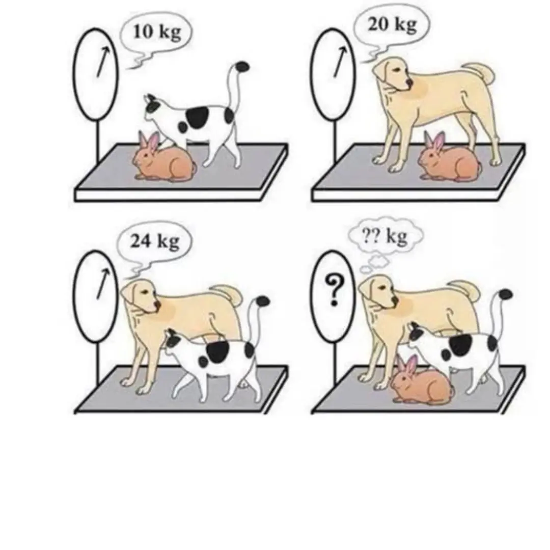 Problemas matemáticos elementares que nem todos os adultos conseguem resolver