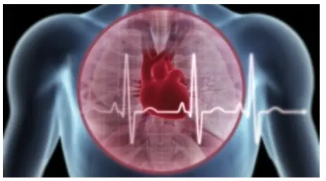 Sintomas de Pressão Arterial Baixa e Medidas Imediatas para Se Proteger