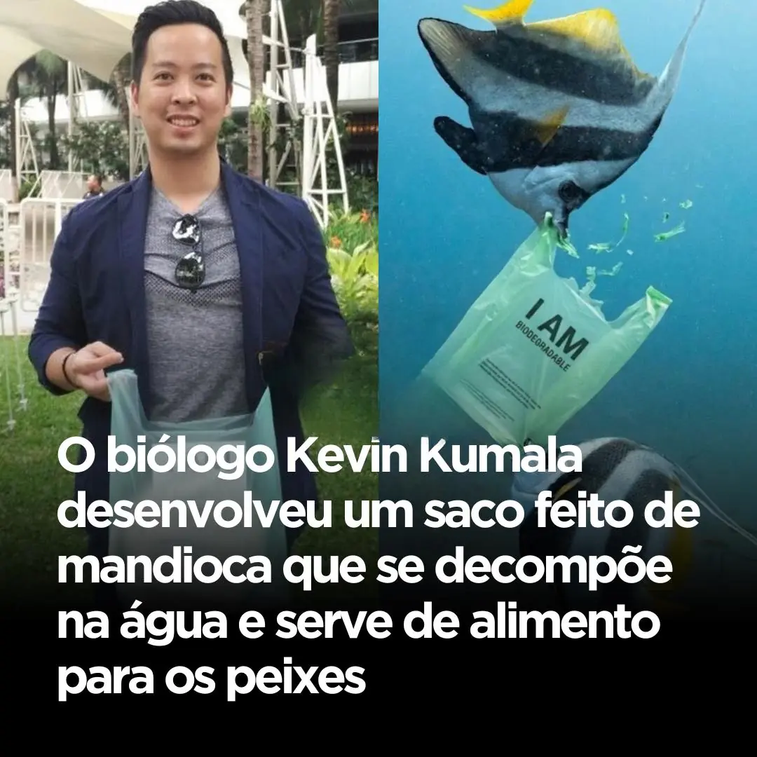 O biólogo indonésio Kevin Kumala desenvolveu por meio da Avani Eco