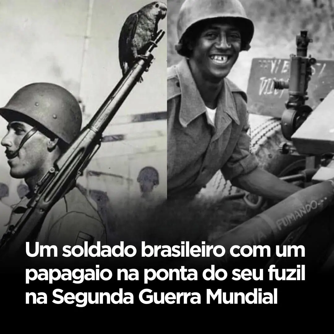 Em meio ao caos da Segunda Guerra Mundial, uma cena curiosa e até