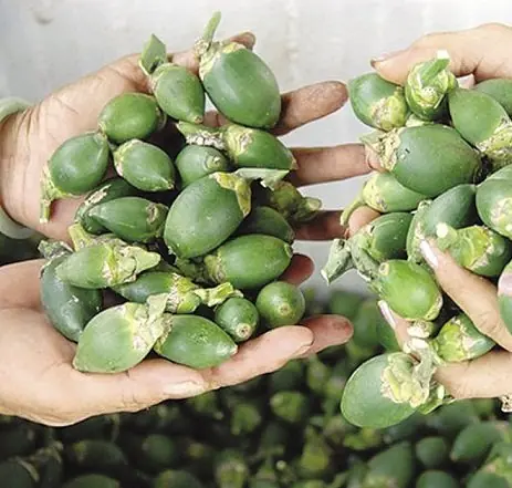 Atenção: médico destaca 4 frutas que podem não ser tão inofensivas quanto parecem