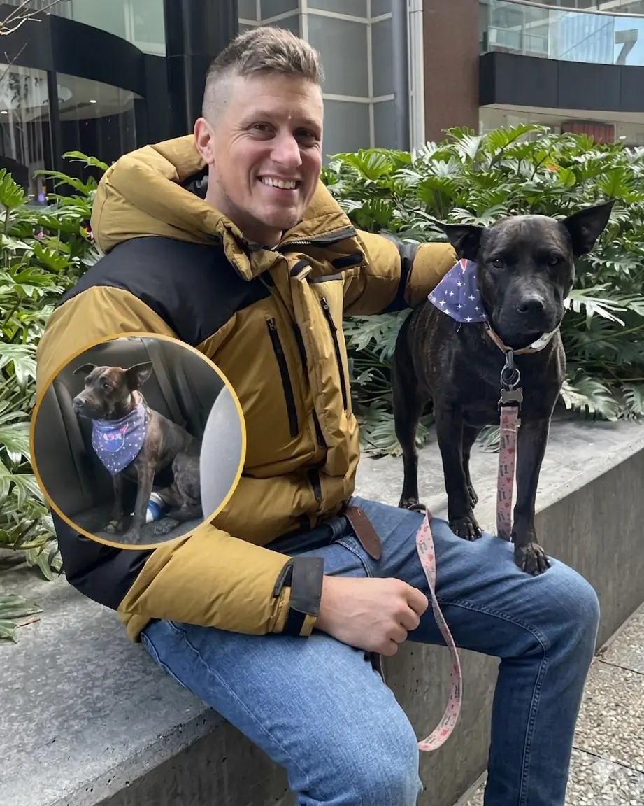 Cientista de Dados se Recusa a Desistir do Seu Cachorro — e Cria Vacina Personalizada Contra o Câncer