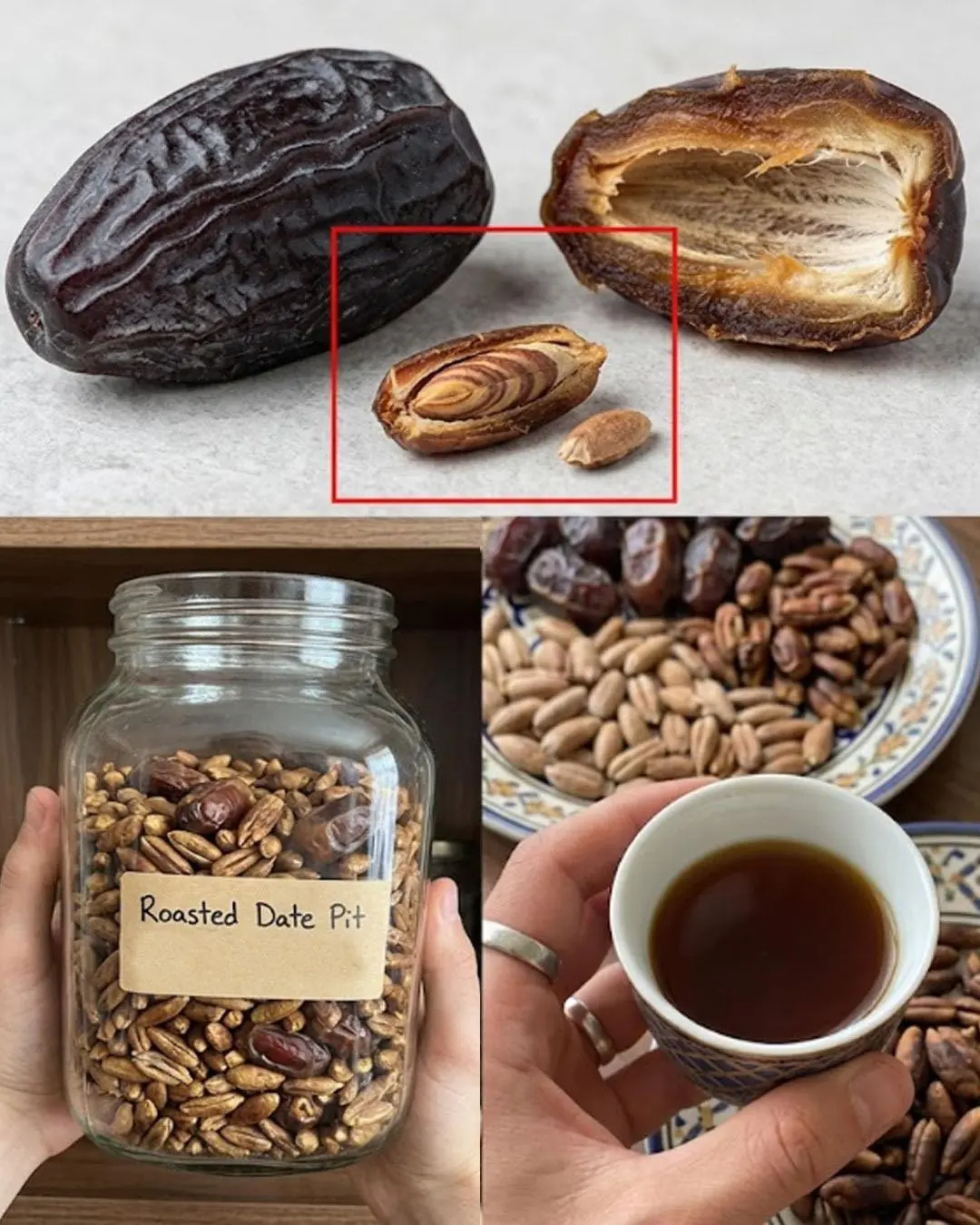 A maioria das pessoas joga fora os caroços de tâmara — sem saber o seu verdadeiro valor...