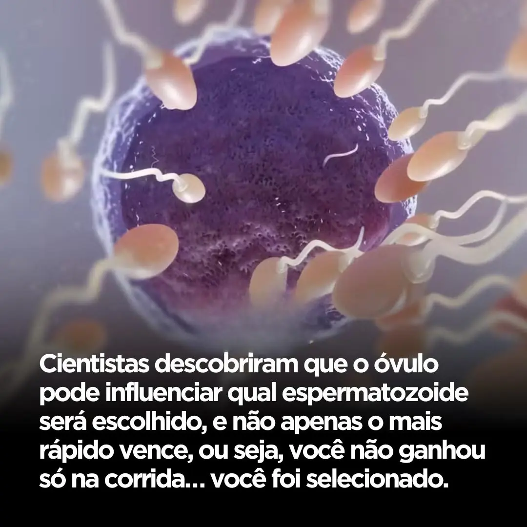 Você não “venceu uma corrida”… você foi escolhido