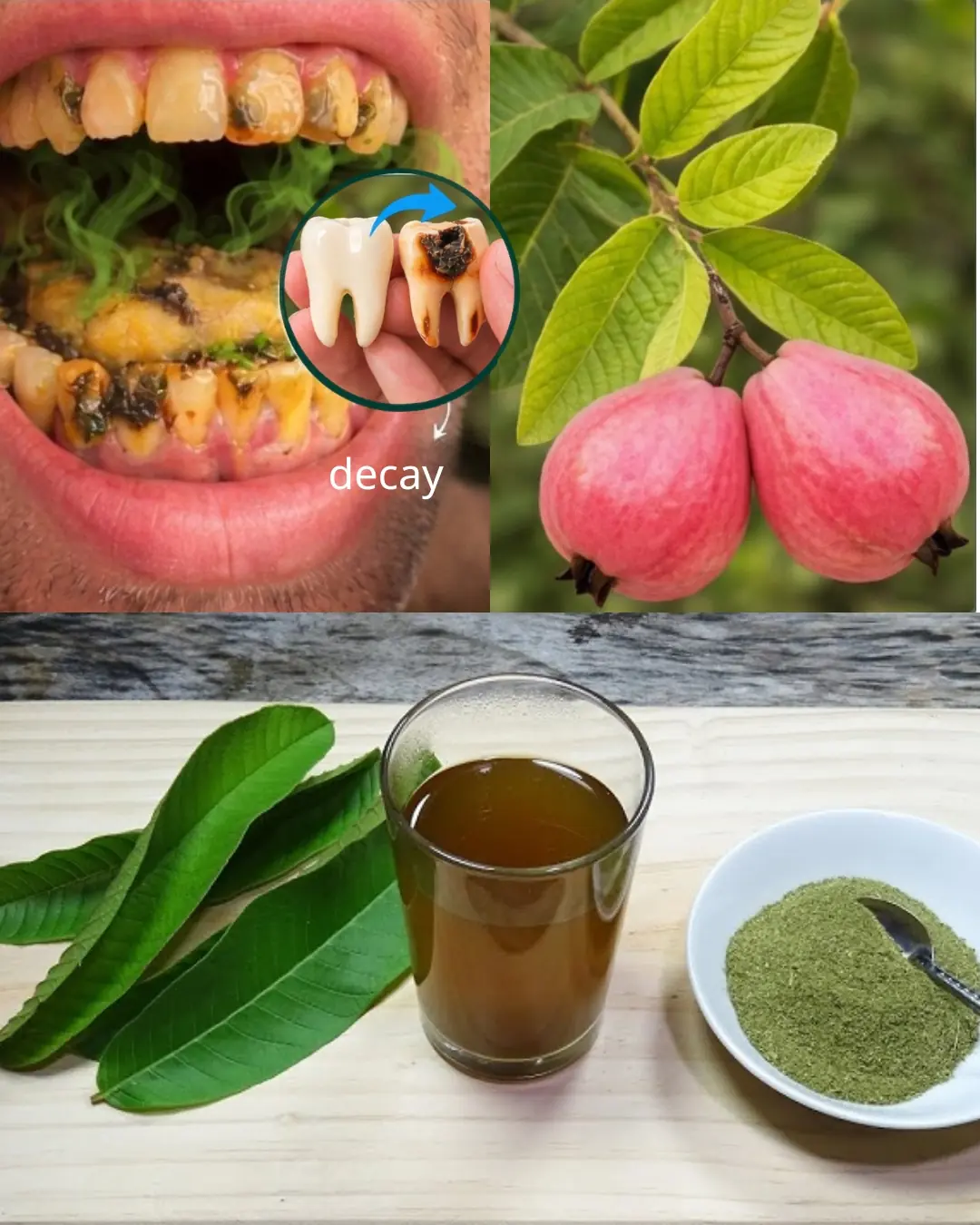 Folhas de goiaba para os dentes: hábito inteligente ou mito exagerado?