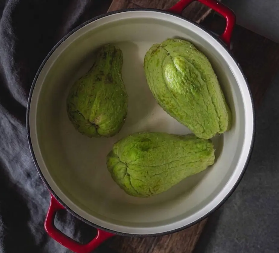 Chuchu com limão: combinação saudável ou mais um mito da internet?