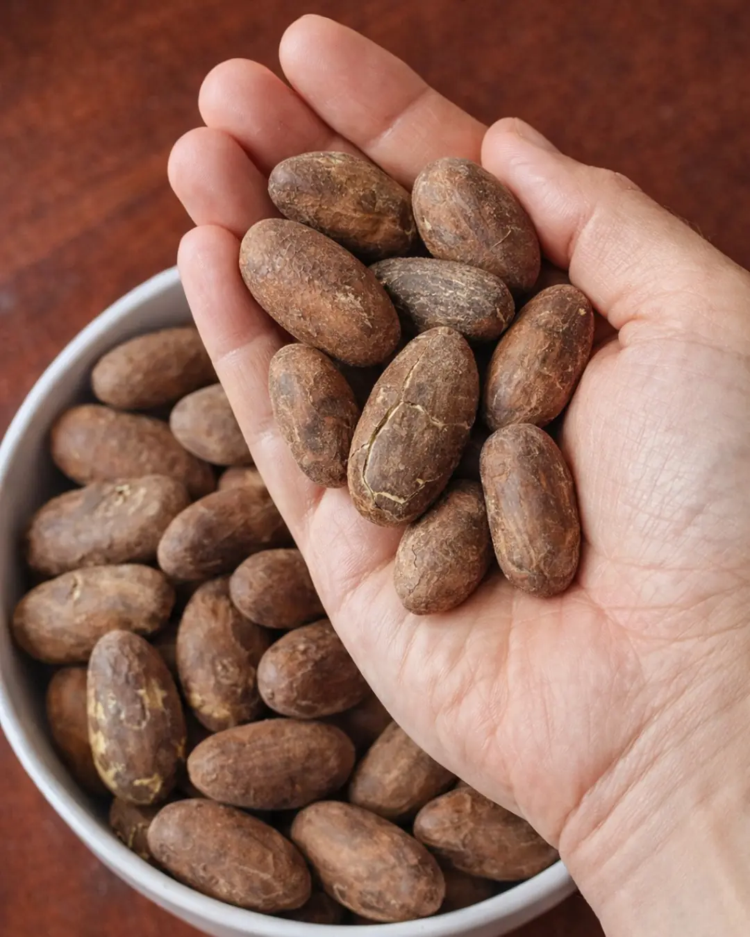 Garcinia Kola: O Poder Medicinal e os Benefícios Surpreendentes da Bitter Kola