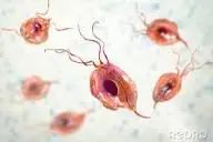 4 razões pelas quais a vagina pode apresentar um cheiro azedo