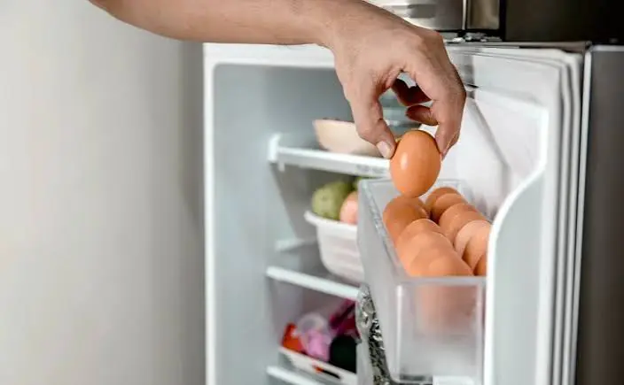 Nem tudo o que vai para a geladeira permanece seguro por muito tempo