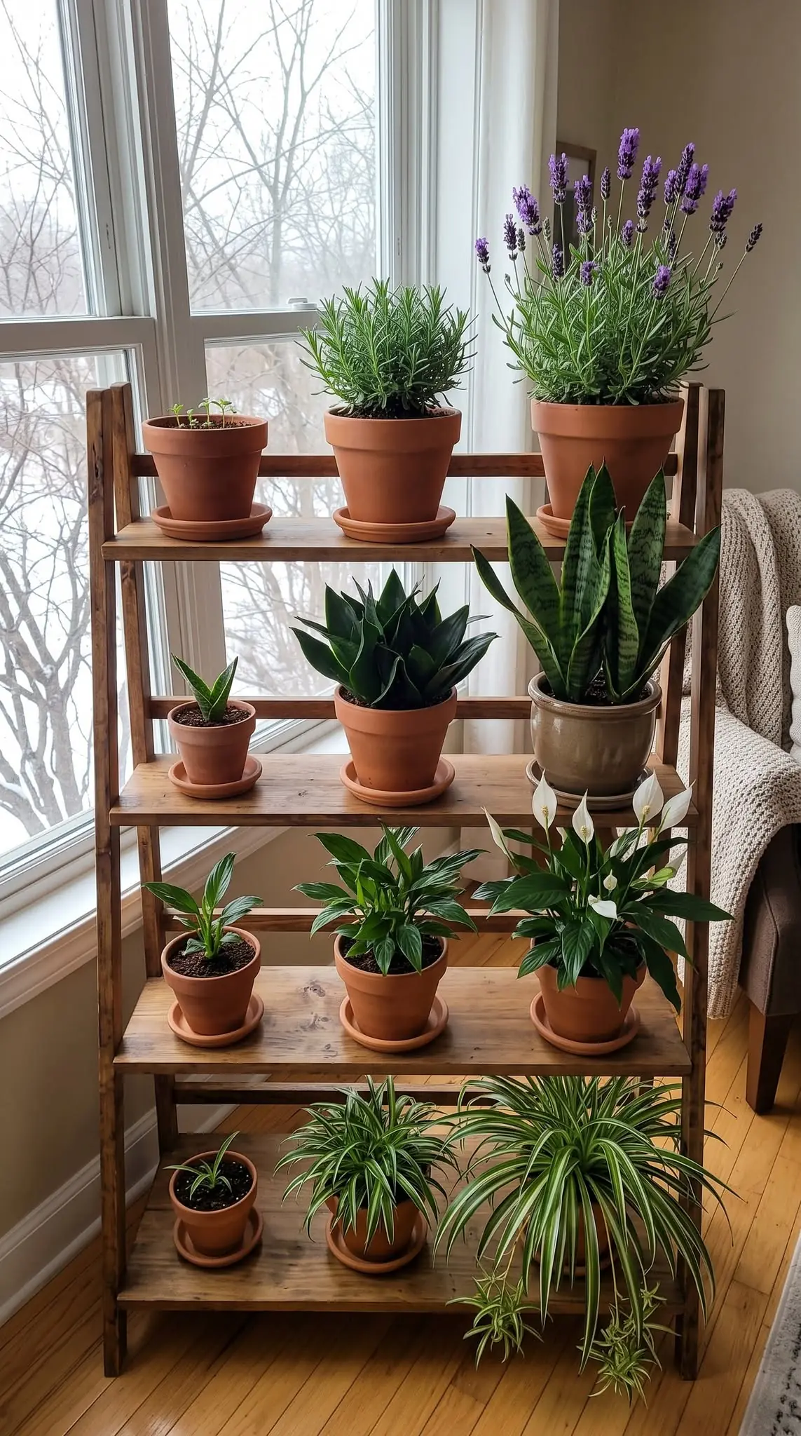 4 plantas de interior de invierno que te ayudan a tener un sueño reparador