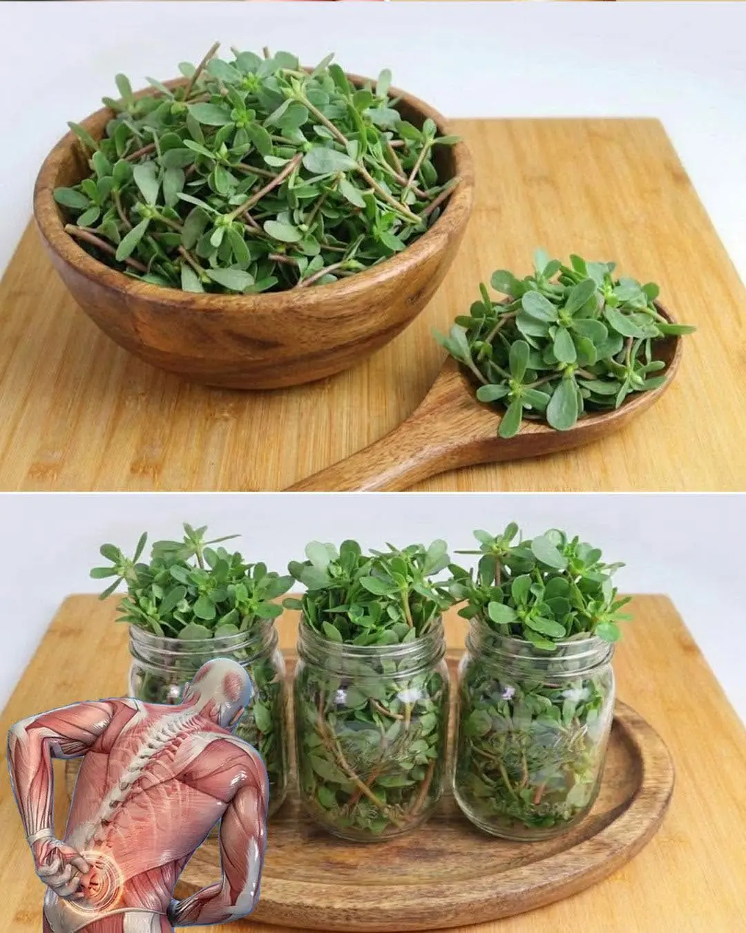 Esta planta é mais saborosa que carne! 8 motivos para tê-la no seu jardim...
